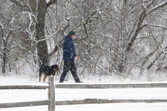 5 Reasons for Winter Fence Replacement