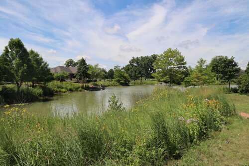 Capture Northbrook's beautiful countryside in the first "Paint the Prairie" Competition - Vimarsana News