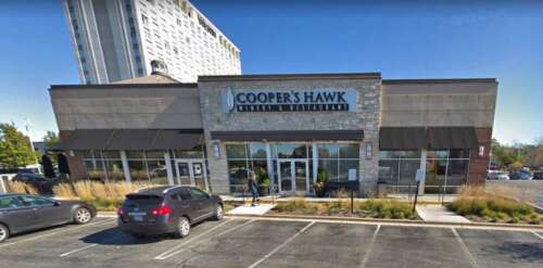 Cooper's hawk outdoor seating clearance