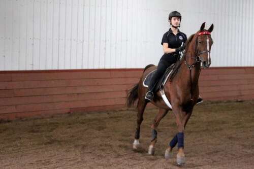 St. Charles teen rising to national level in competitive horse riding