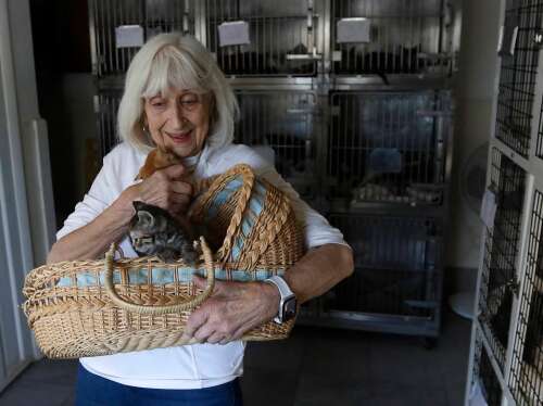 Unwanted pets are filling shelters, but advocates caution about adopting them as holiday gifts - Vimarsana News