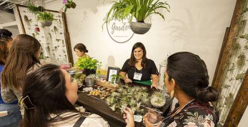 Cantigny Spring Fest offers garden-inspired activities, shopping, and live music - Vimarsana News