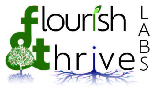 Flourish and Thrive Labs Launches to Provide Innovative Business ...