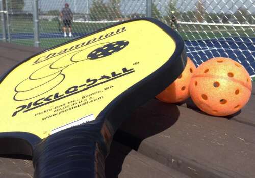 Indoor pickleball facility proposed for Batavia shopping center