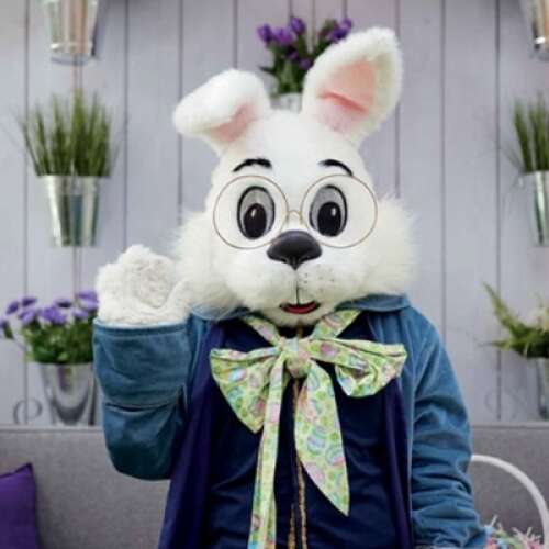 Easter Bunny returns to Woodfield Mall in Schaumburg Feb. 23 - Vimarsana News