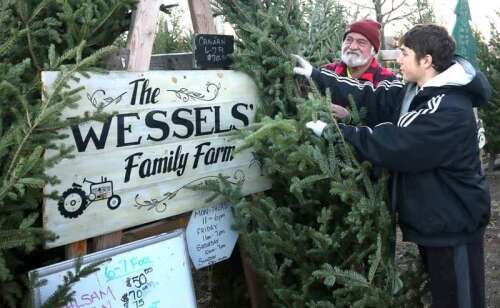 Illinois Christmas tree farmers say demand is high this holiday season - Vimarsana News