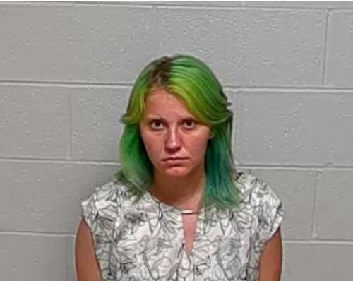 Fox Lake father faces child endangerment, child pornography charges ...