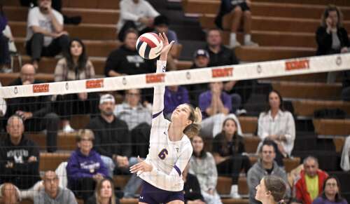 Girls volleyball: Rolling Meadows, Barrington advance to MSL championship game