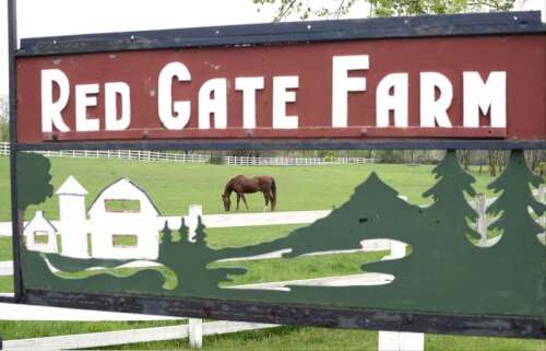 A developer has proposed building single-family houses on half of the historic Red Gate Farm near St. Charles. The St. Charles Plan Commission will review a conceptual plan at its meeting at 7 p.m. Tu...