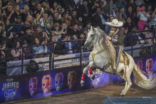 Pepe Aguilar is putting Mexican culture at the front and center with 'Jaripeo: Hasta Los Huesos' - Vimarsana News