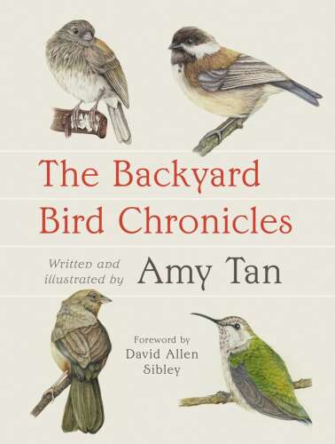 Book Review: Novelist Amy Tan shares love of the natural world in 'The Backyard Bird Chronicles' - Vimarsana News