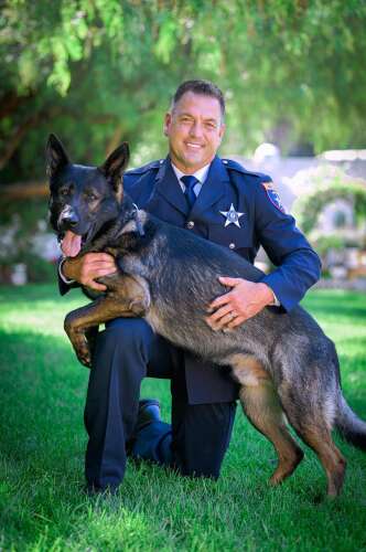 Serious injuries force police dog Dax to retire after storied 9-year career - Vimarsana News