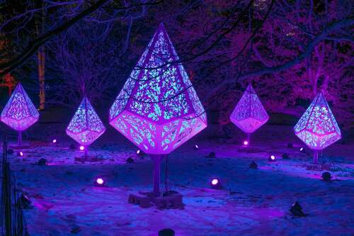 Concerts, shows and winter celebrations in this week's events - Vimarsana News