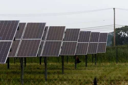 Community solar farm could be coming to Crystal Lake - Vimarsana News