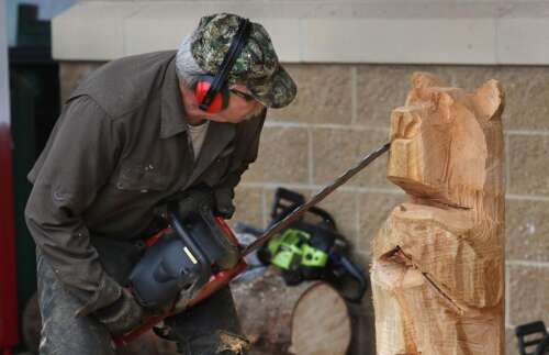 Menards poulan chainsaw top