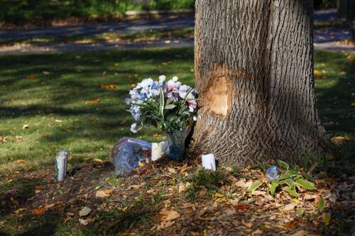 Fatal crash renews calls for safety upgrades on Kirchoff Road in Rolling Meadows