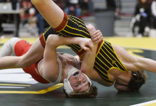 Wrestling roundup: Warren tops talented field at Lake County invite - Vimarsana News