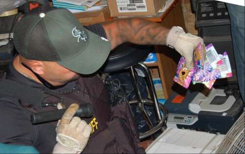 Fake pot targeted in Lake County’s Operation Log Jam
