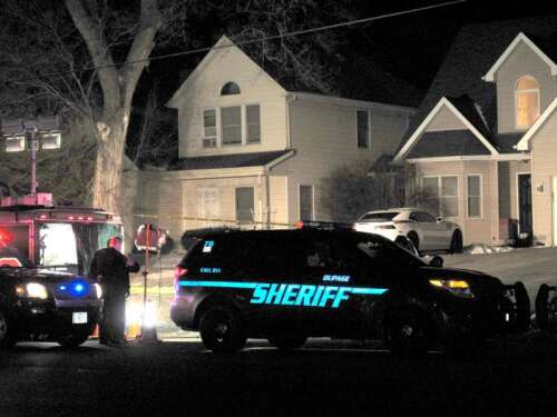 Naperville man charged in stabbing death of mom near Downers Grove