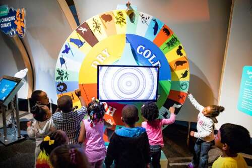Peggy Notebaert Nature Museum retiring climate change exhibit ...