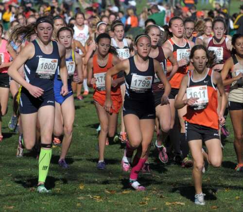 Images: IHSA girls state cross country finals