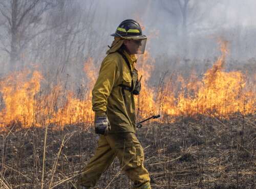 Forest preserve approves  million land acquisition, public access and habitat restoration projects
