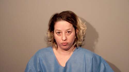 Mundelein woman charged with murder in fatal stabbing - Vimarsana News