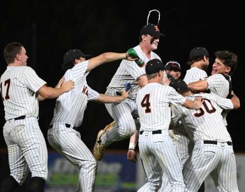 Baseball: Five area teams remain alive in quest for state championship