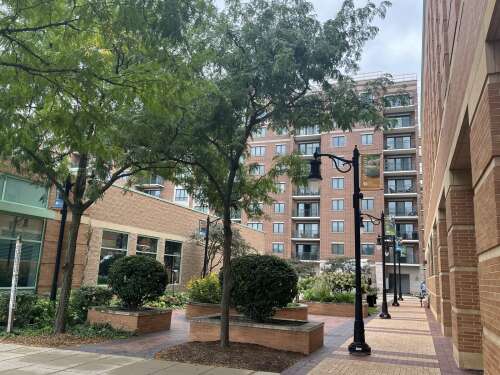 Des Plaines Public Library activities to expand outdoors