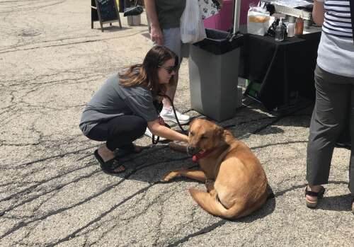 Mother-daughter duo unleashes dog-friendly market in Arlington Heights
