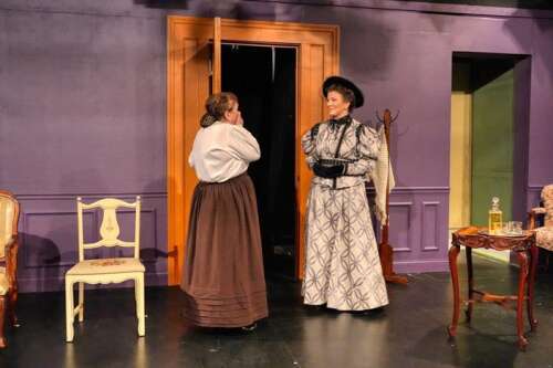 Village Theatre Guild's 60th season continues with 'A Doll's House, Part 2' - Vimarsana News