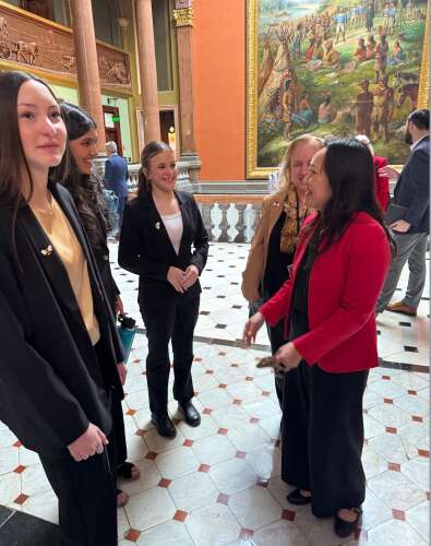 Illinois lawmakers designate state bee after push by students
