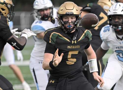 Daily Herald Week 2 football previews