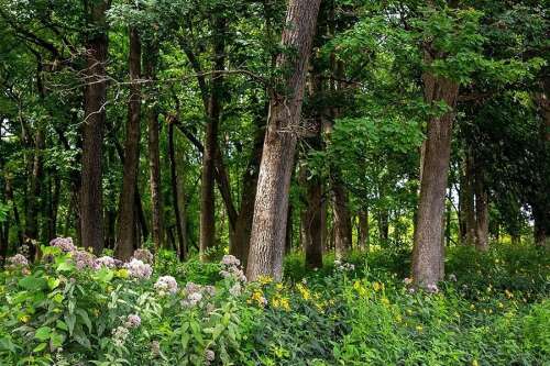 DuPage County Forest Preserve District holds the line on taxes for fourth consecutive year - Vimarsana News