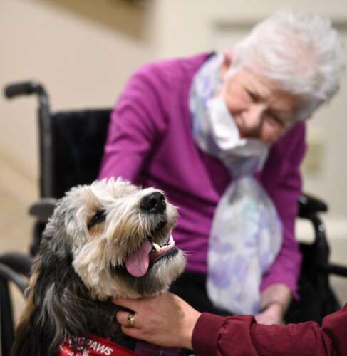 Smiles, and help, one lick at a time: Anderson's Healing Paws program ...