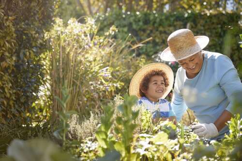 Gardening's hidden benefits: How digging in the dirt could bolster mental well-being
