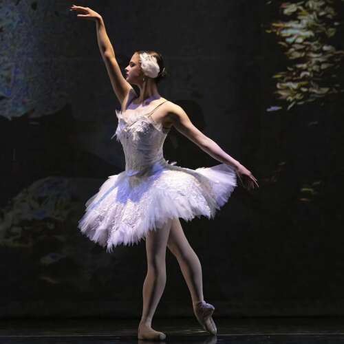 A&amp;A Ballet to hold open auditions for spring performance of ‘Swan Lake’