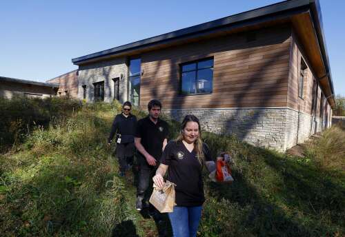 More than 1,000 birds reported killed or injured in building collisions ...
