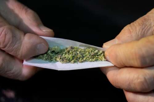Des Plaines easing sign rules for cannabis stores