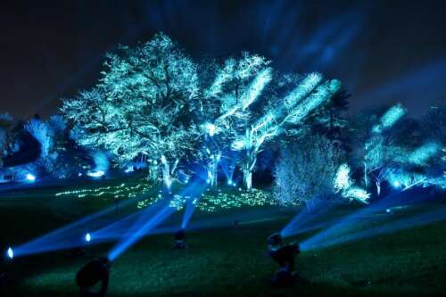 Morton arboretum holiday lights best sale