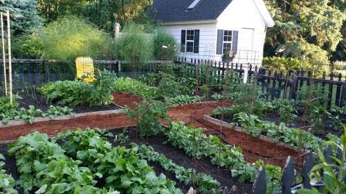 Tour 12 gardens, learn from experts at MCC garden walk - Vimarsana News