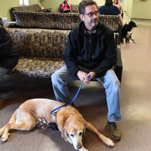 Buffalo Grove veterinary clinic wins rare distinction for trauma treatment