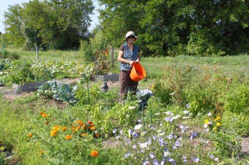 Thinking about spring? Plots available at Community Gardens in Prairie ...