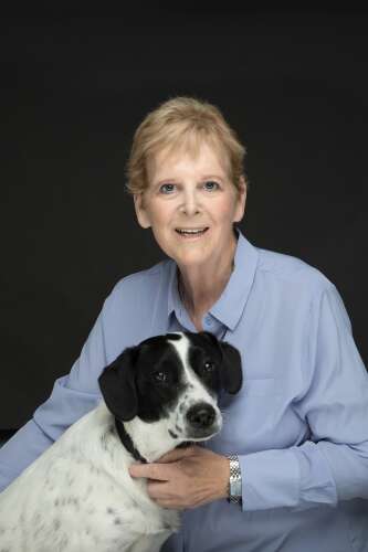 Riverside Animal Clinic and Holistic Center to host puppy and dog training classes - Vimarsana News