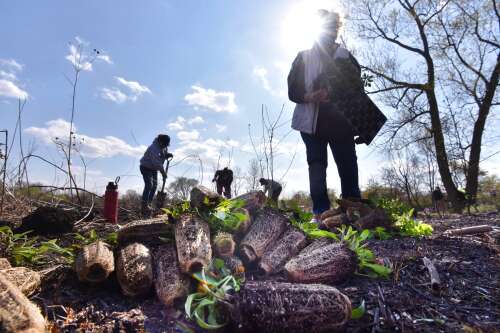 Earth Day 2024: How suburban communities are celebrating the historic environmental holiday - Vimarsana News