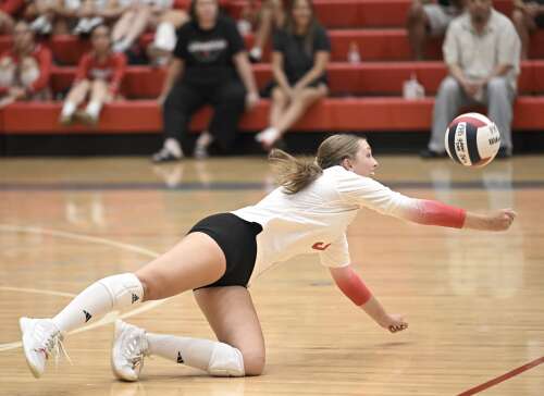 Girls volleyball: Tableman steps into bigger role, helps Mundelein sweep Palatine