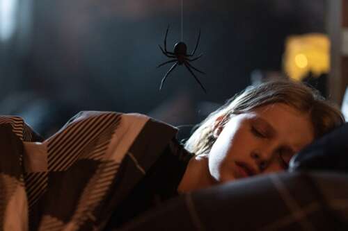 Bug-a BOO! Fun, frights and feelings figure into a Charlotte's web of terror in 'Sting' - Vimarsana News
