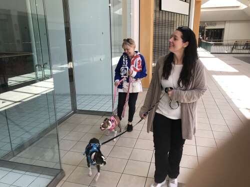 'Like losing a friend': Saying goodbye to Stratford Square Mall - Vimarsana News