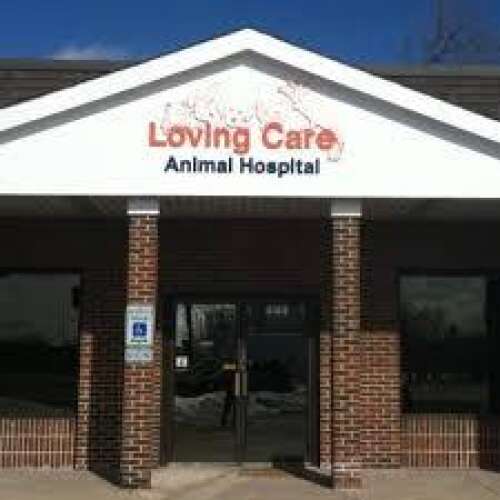 Loving care animal hospital clearance