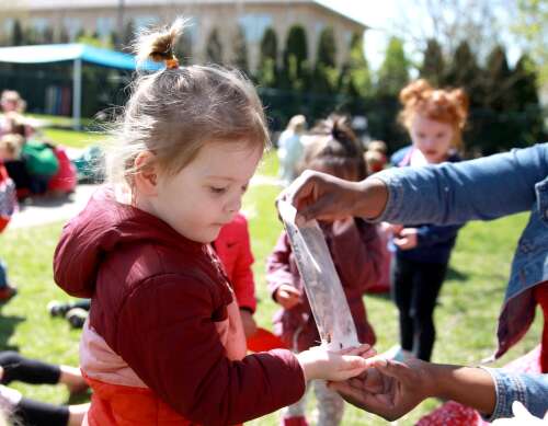 Thousands of ladybugs now call Wheaton their home - Vimarsana News